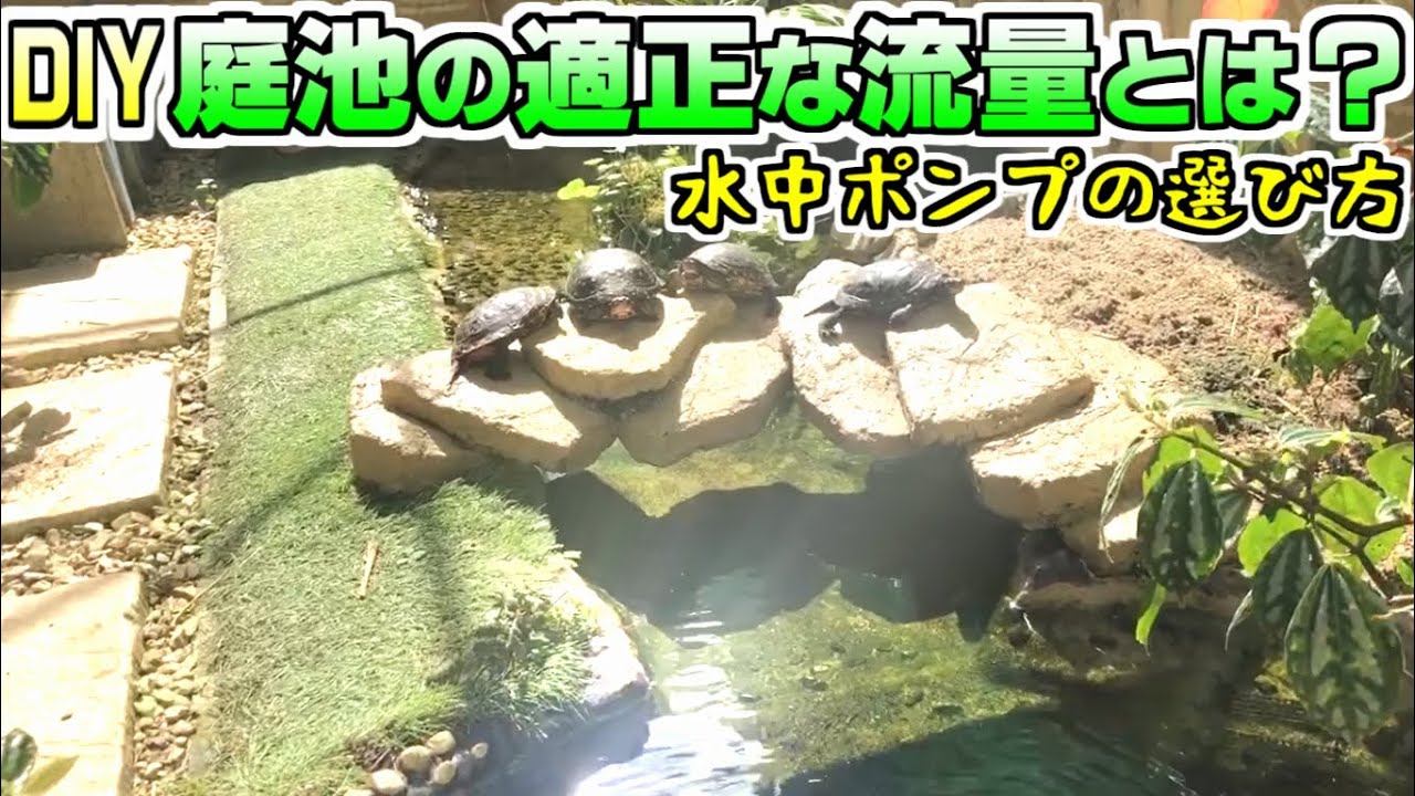【重要】庭池で使用する水中ポンプの選択方法【庭池】