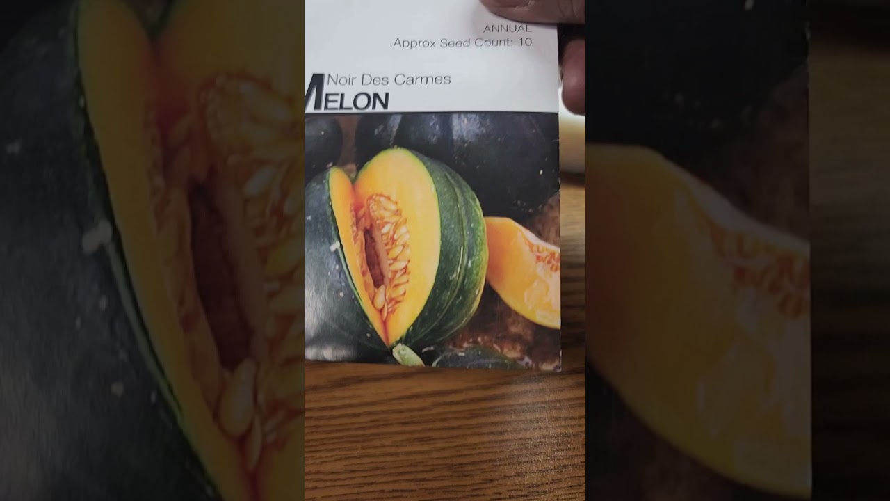 Game Night Winnings from @itsmyrenaissancegrandma 