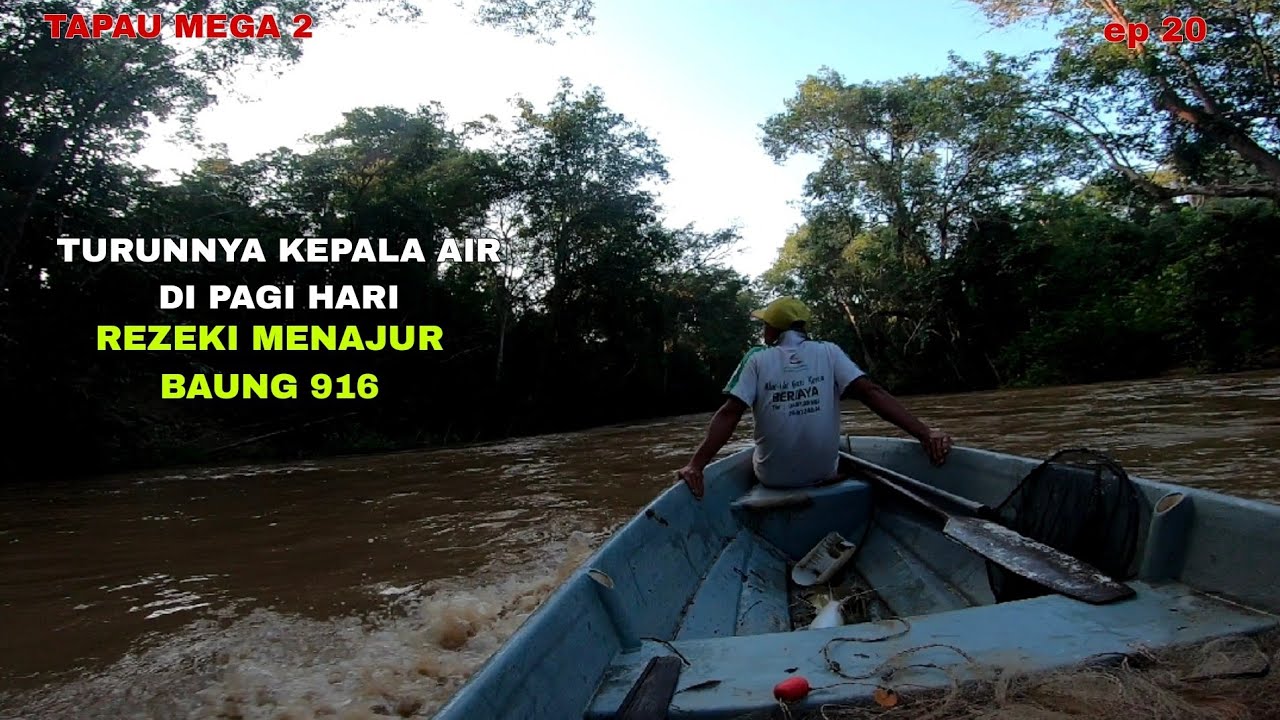 TAHAN TAJUR IKAN BAUNG 916‼️KEPALA AIR TURUN PAGI (EP 20)