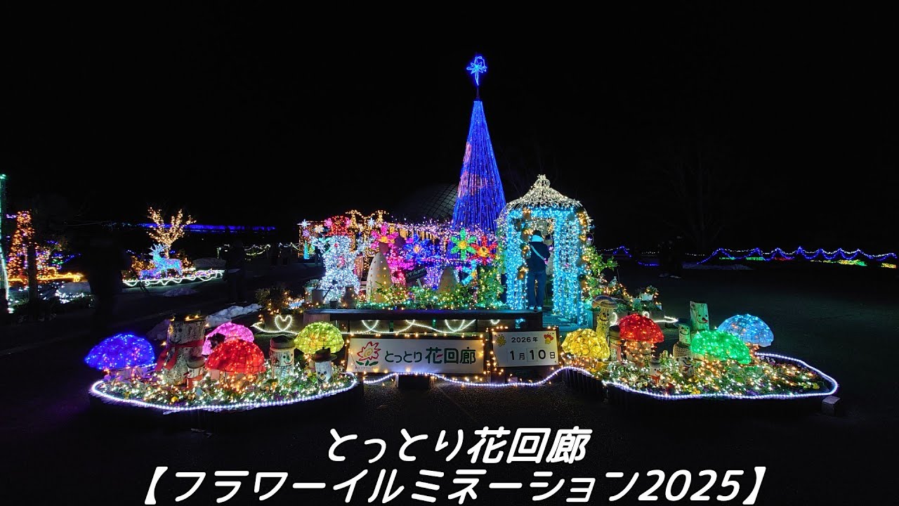とっとり花回廊【フラワーイルミネーション2025】