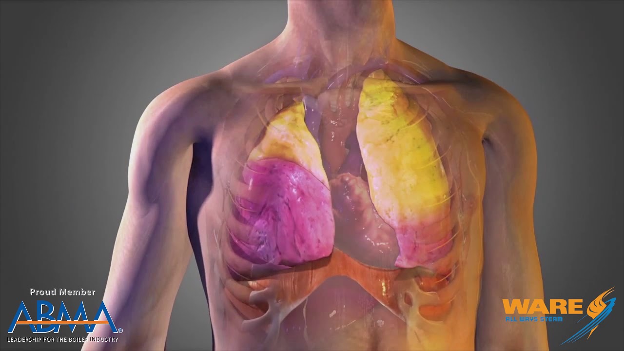 Steam Therapy for the Lungs - Steam Culture