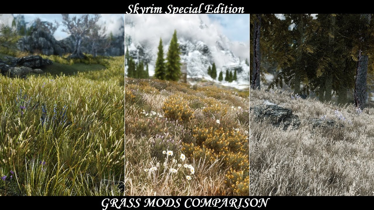 Skyrim SE - Grass Mods Comparison (RE-Updated)