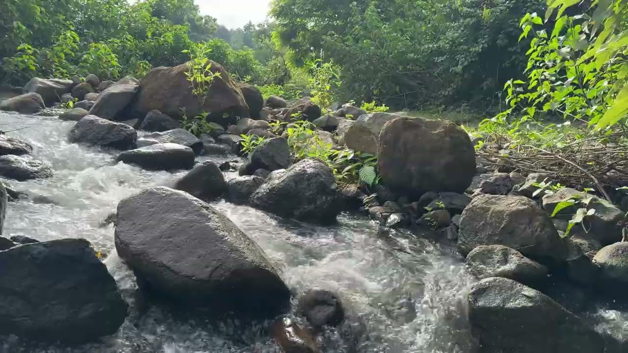 Relaxing River Sounds - Peaceful Forest River -  Nature Video.