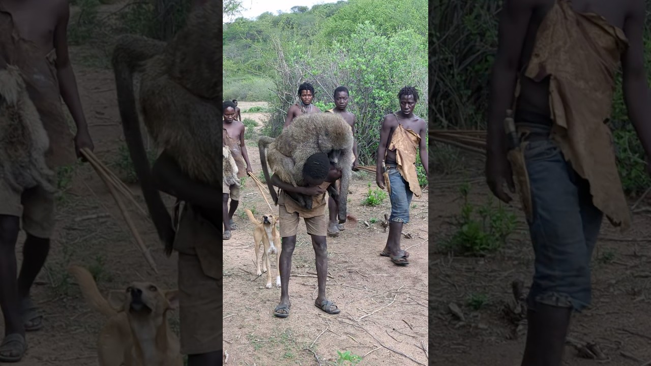 Hunting and cooking baboon monkey with hadzabe tribe #tradition #bushcraft