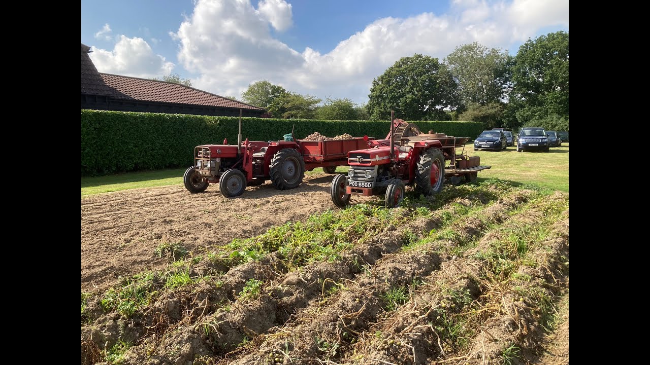 Jam Tractors MF 711 Potato Harvester