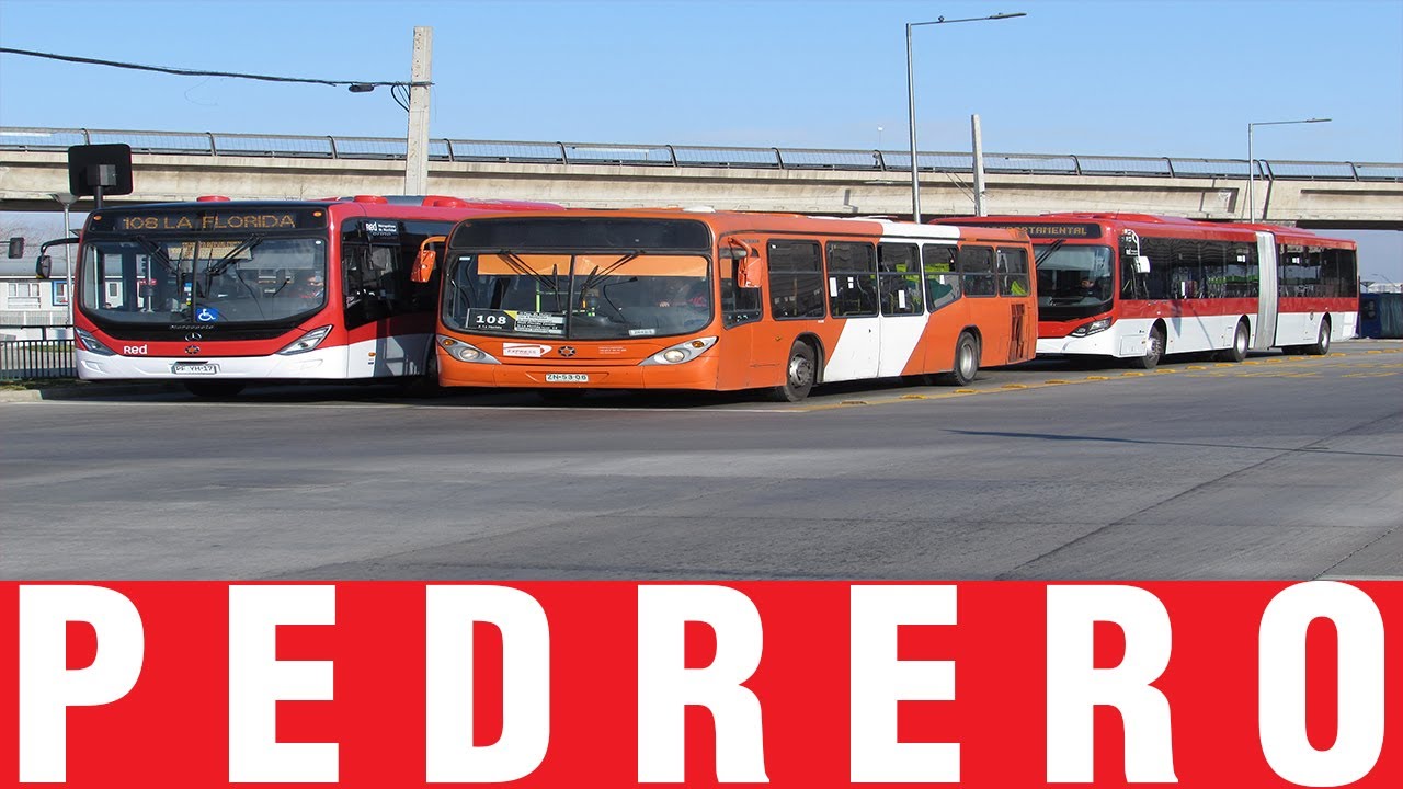 Movimiento de Buses en Pedrero