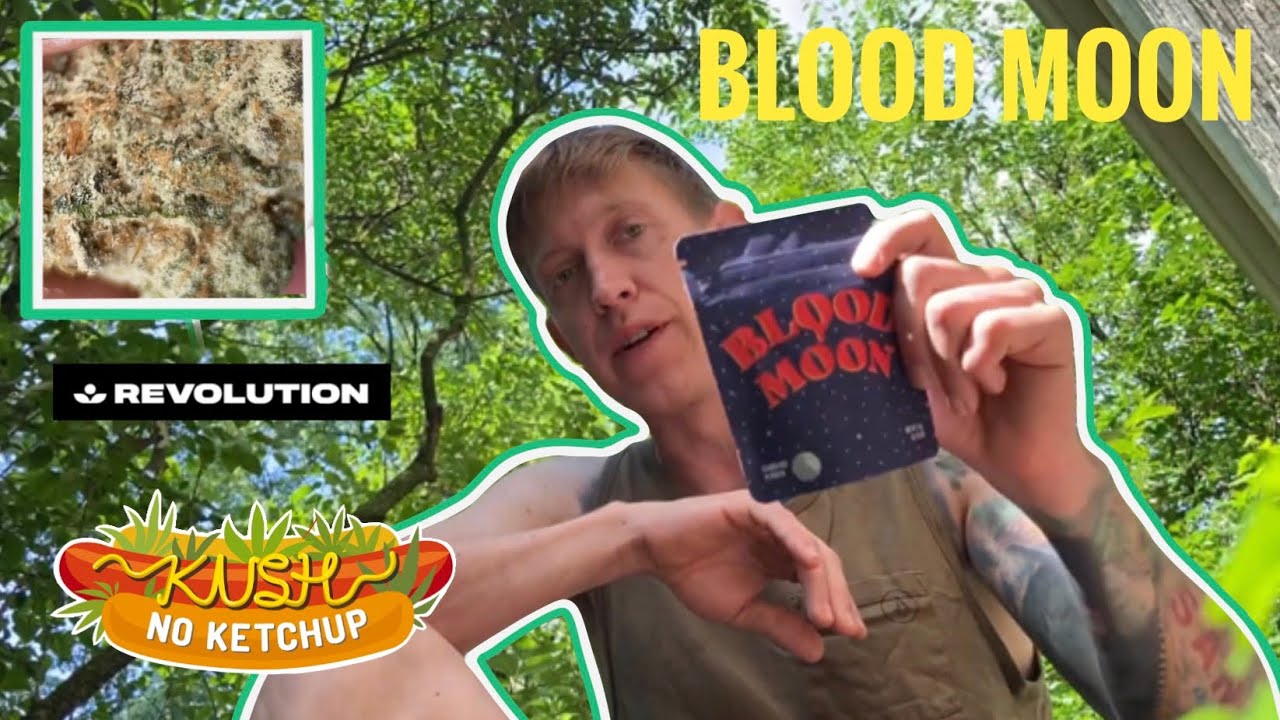 Blood Moon Strain Review | KUSH NO KETCHUP