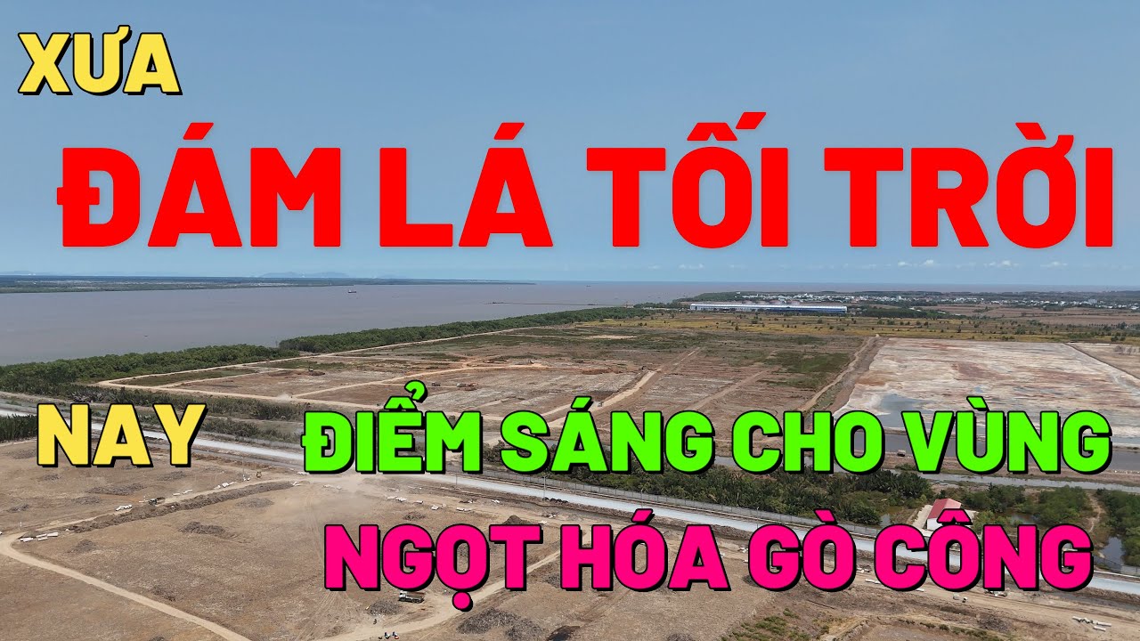 ĐÁM LÁ TỐI TRỜI - ĐIỂM SÁNG TƯƠNG LAI CỦA VÙNG NGỌT HÓA GÒ CÔNG @diachitiengiang