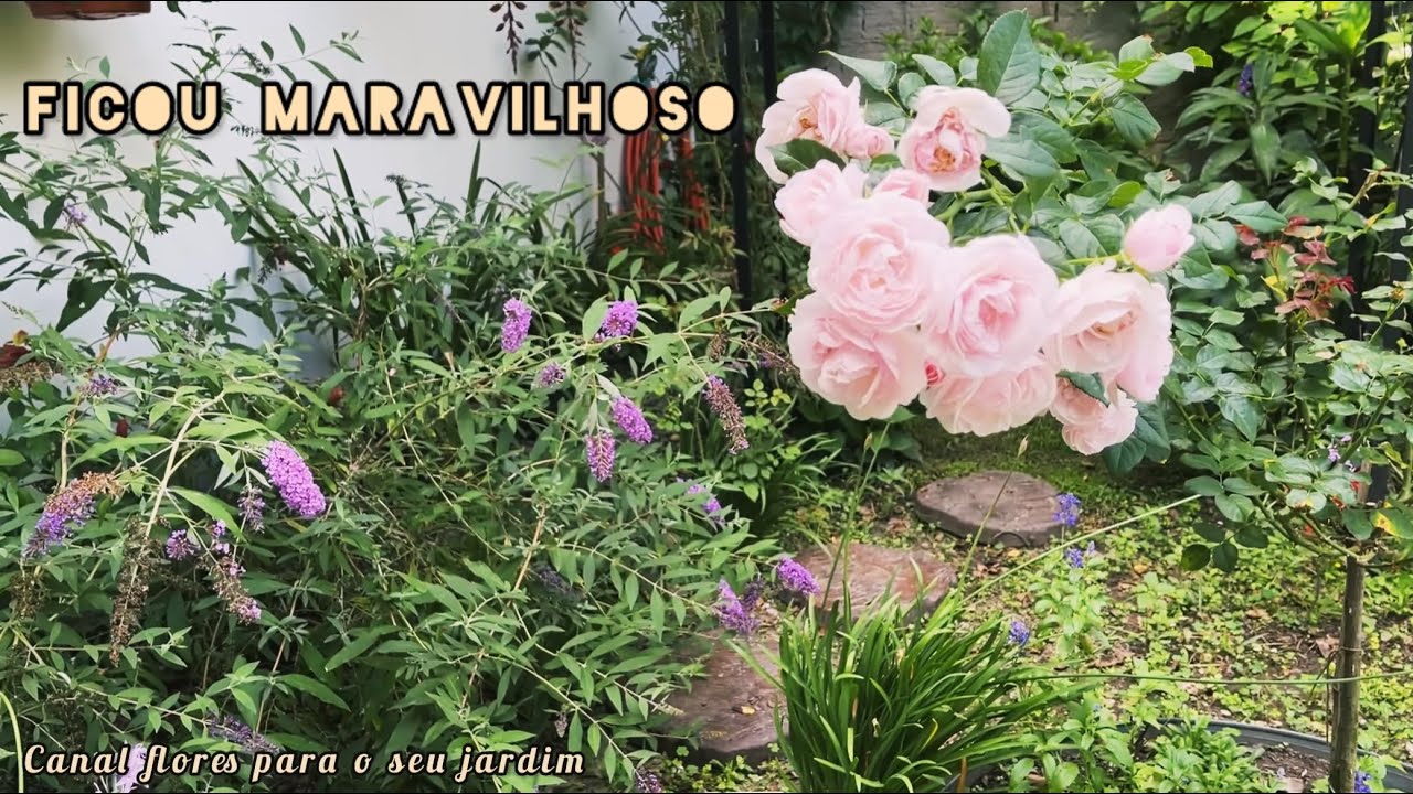 Transformei um Espaço Pequeno em um Jardim Cheio de Flores 🌸