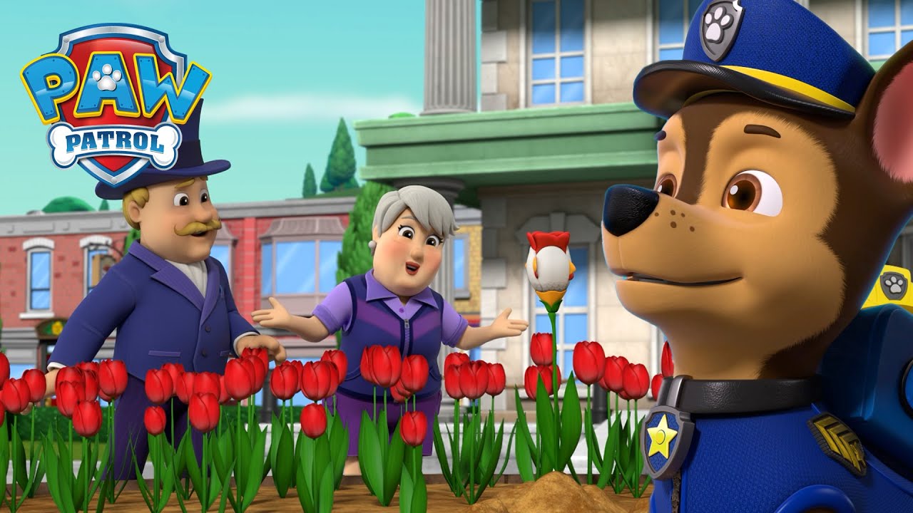 A ritka csirketulipán keresése, és még sok más! - Mancs Őrjárat - PAW Patrol epizód Magyar