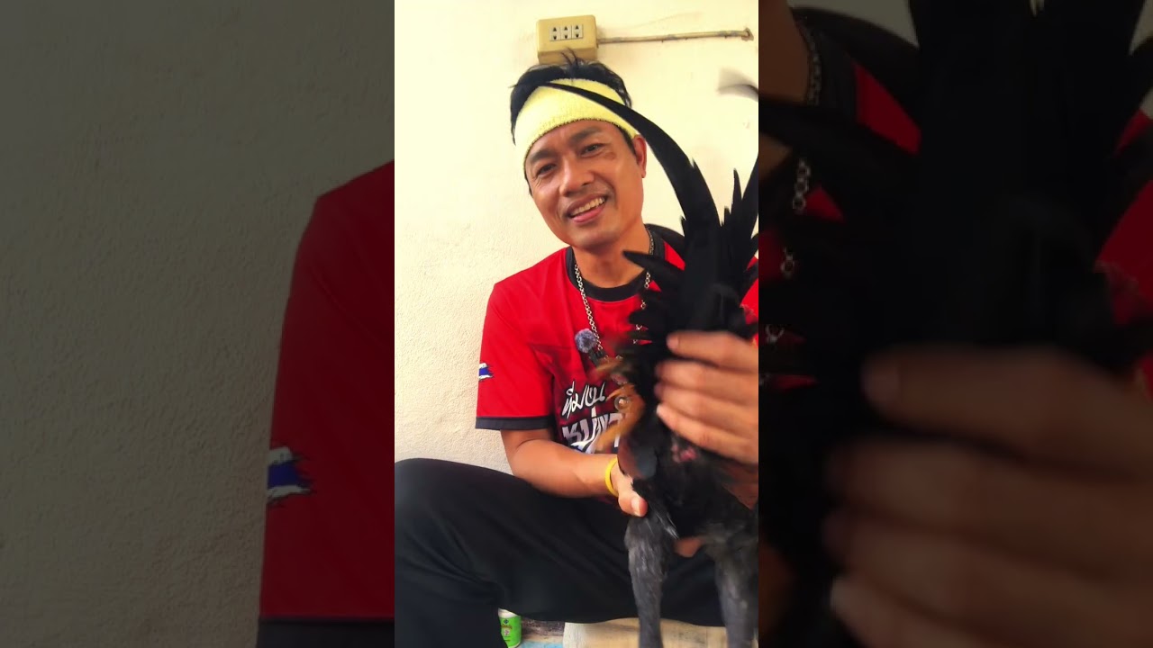 3 กุมภาพันธ์ 2569