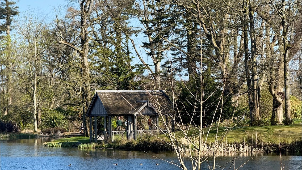 Family Trip With friends @belfast&Antrim #castle wood holiday park
