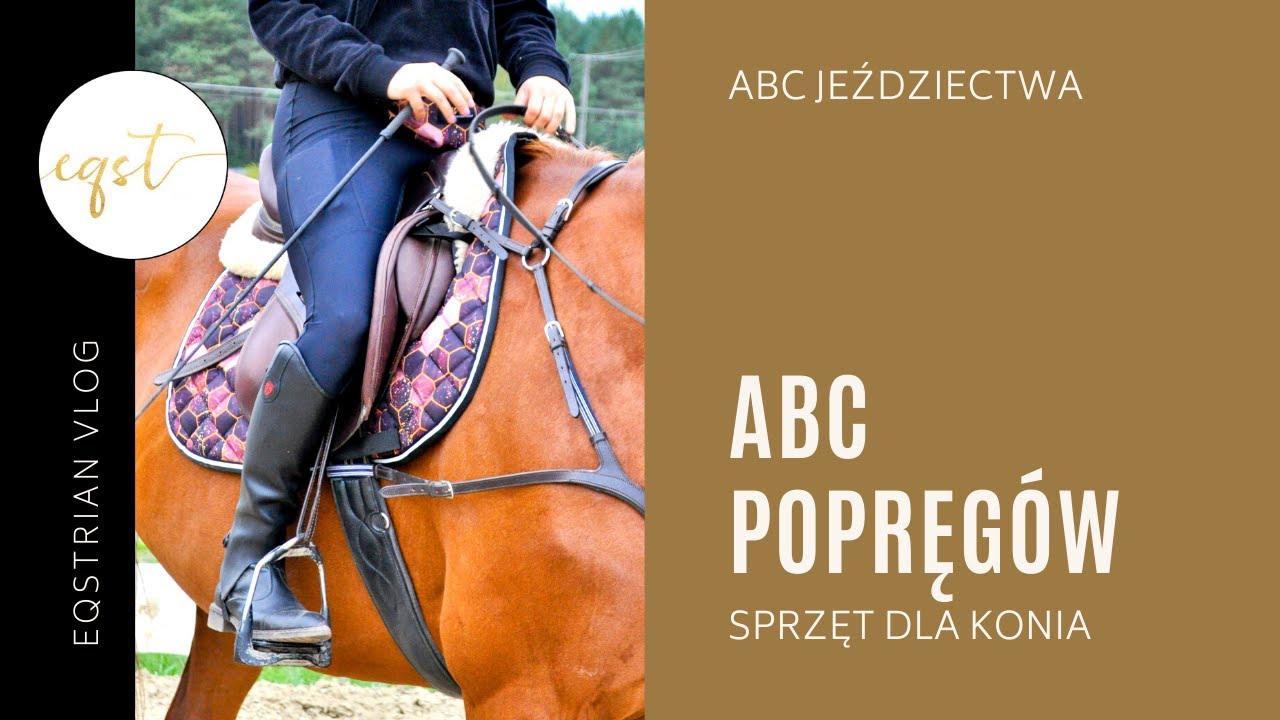 ABC POPRĘGÓW | sprzęt dla konia