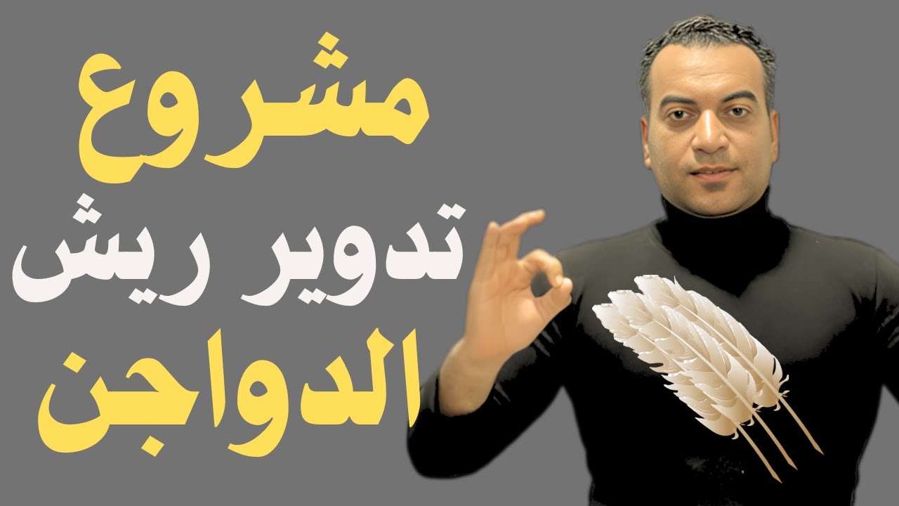 فكرة مشروع ذكية جدا وبدون راس مال كبير 👌