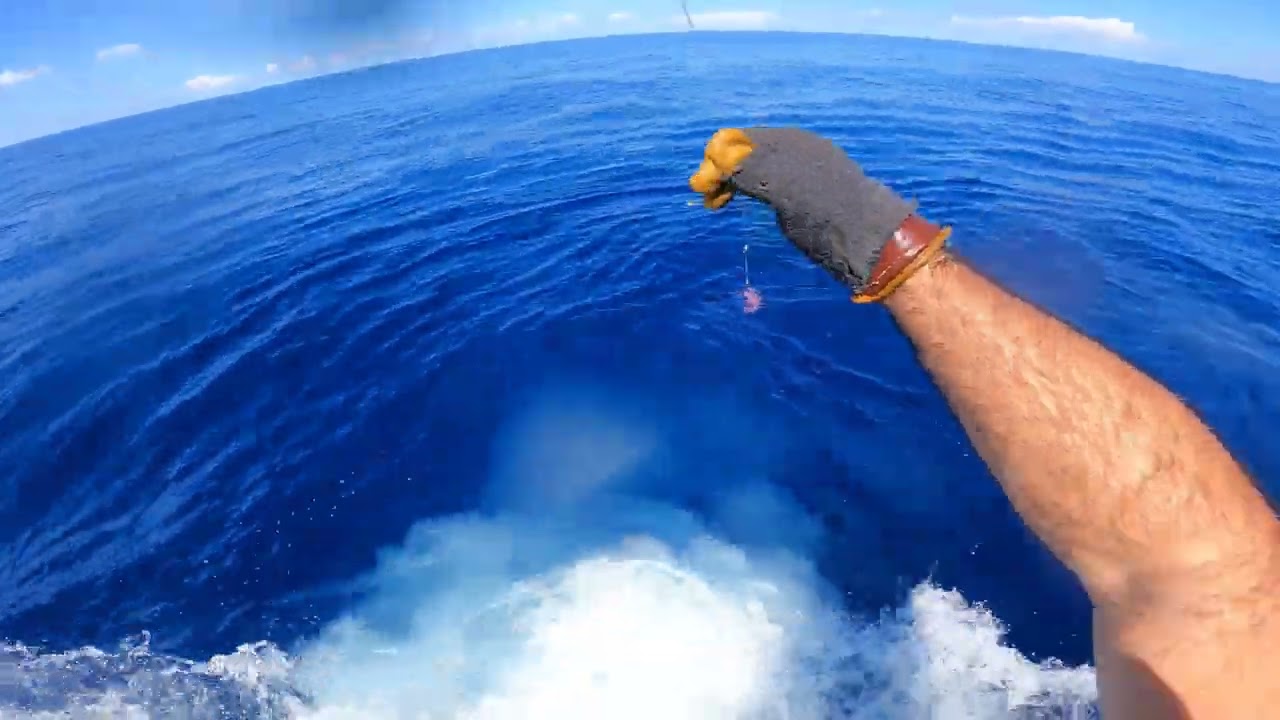 Marlin Expeditions Comes to Kona