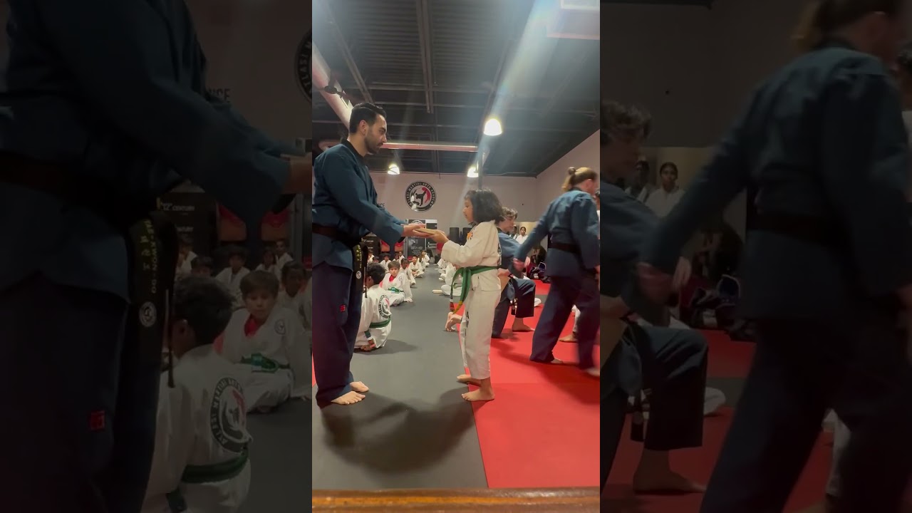 Board breaking -Sr.Green Belt #taekwondo