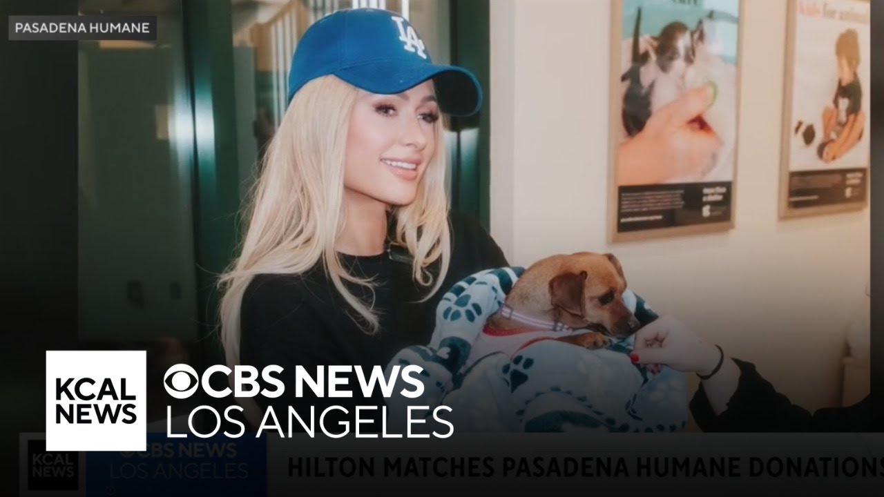 Paris Hilton to match donations at Pasadena Humane Center