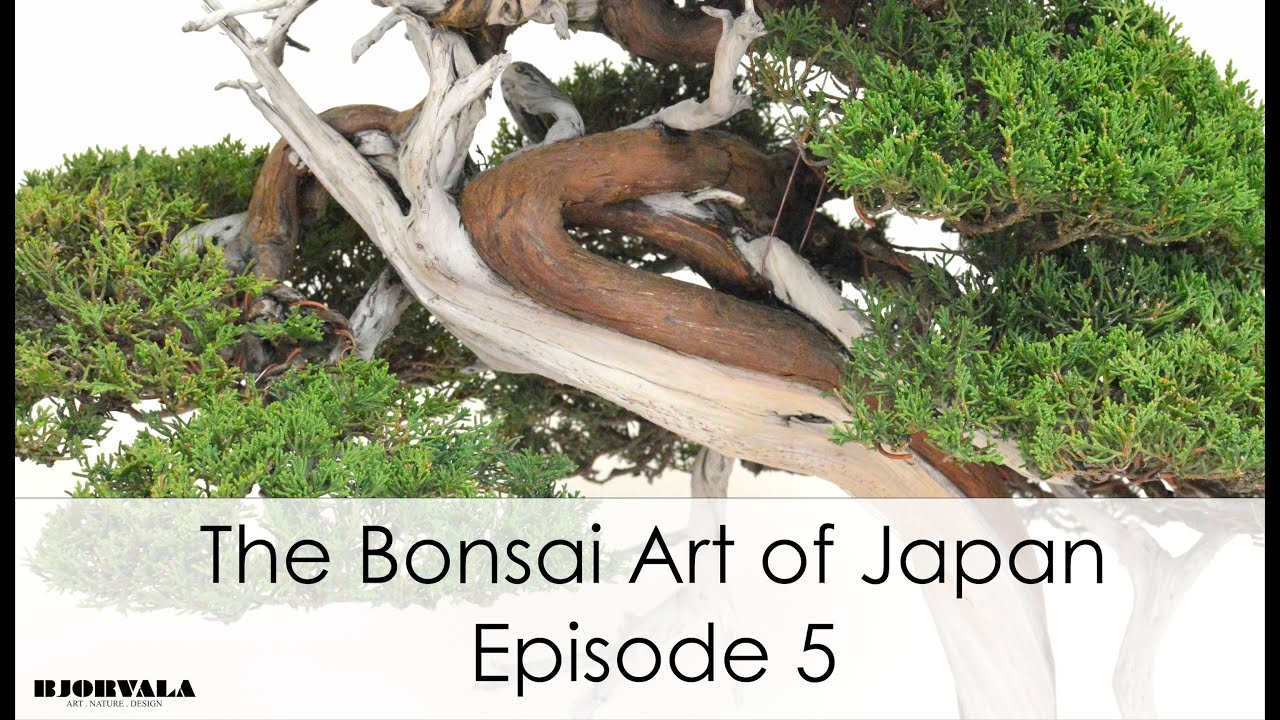 The Bonsai Art of Japan - Episode 5
