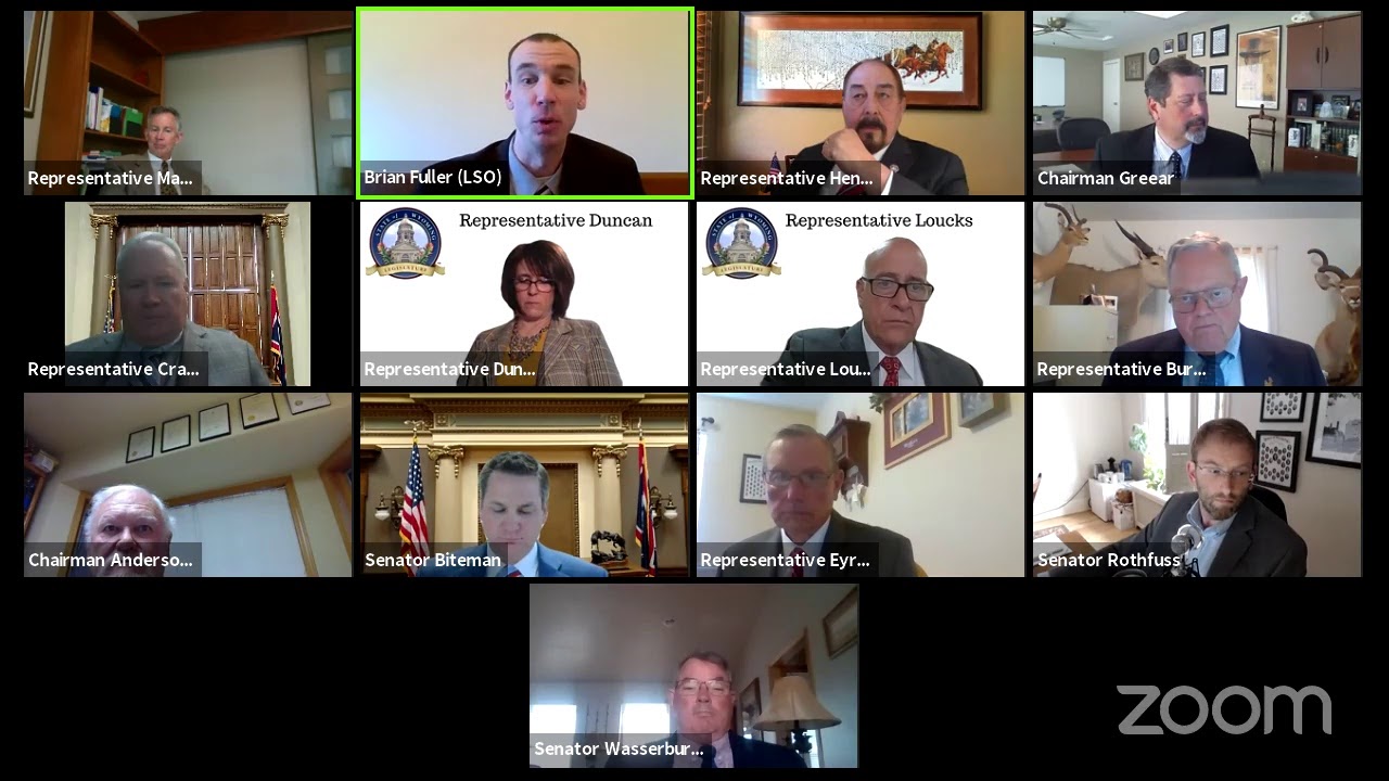Wyoming LSO's Zoom Meeting-Minerals
