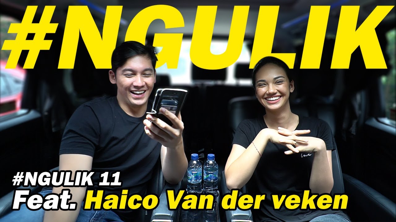 HAICO VAN DER VEKEN - NGULIK 11