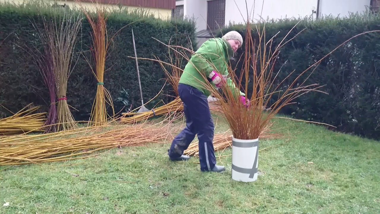 Weiden sortieren, Grading willow