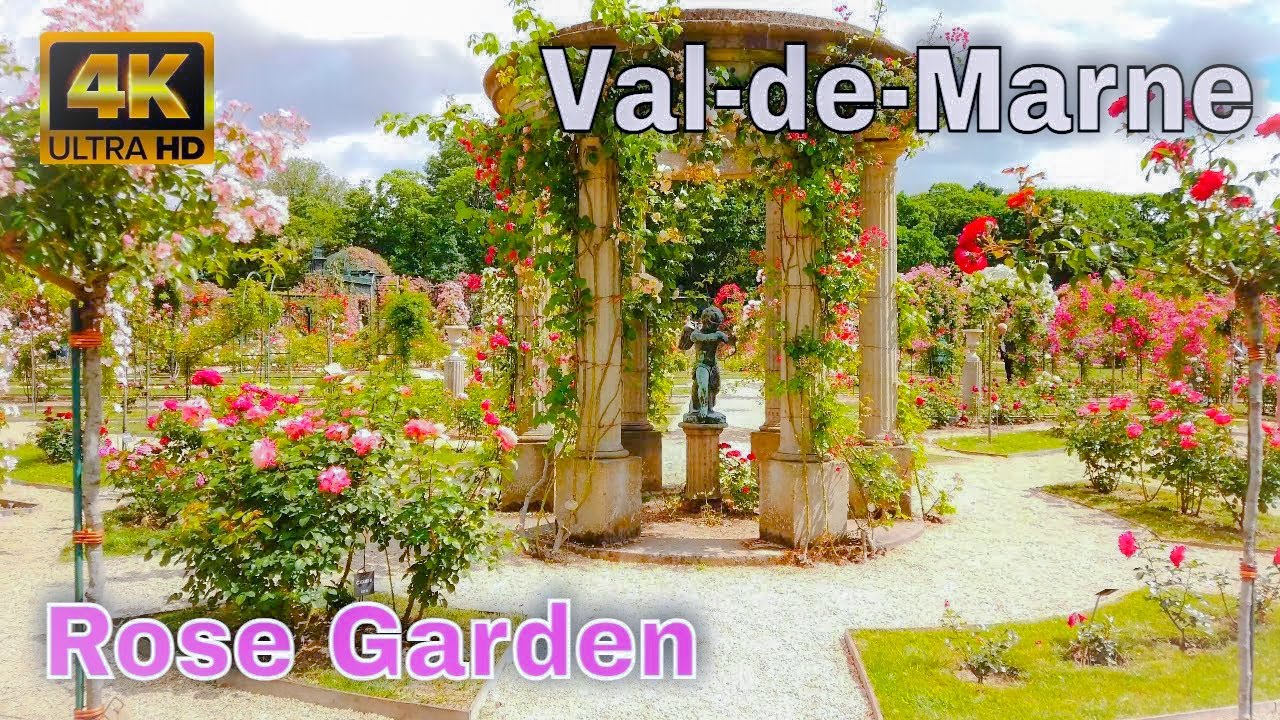 🇫🇷Roseraie du Val-de-Marne - Roseraie de L'Haÿ - Rose Garden 4K