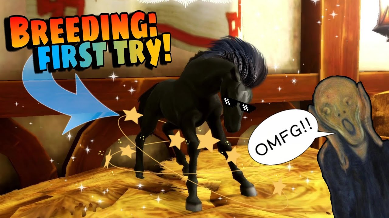 BREEDING THESE DAYS BE LIKE: - Alicia Online Breeding [Not Edited]