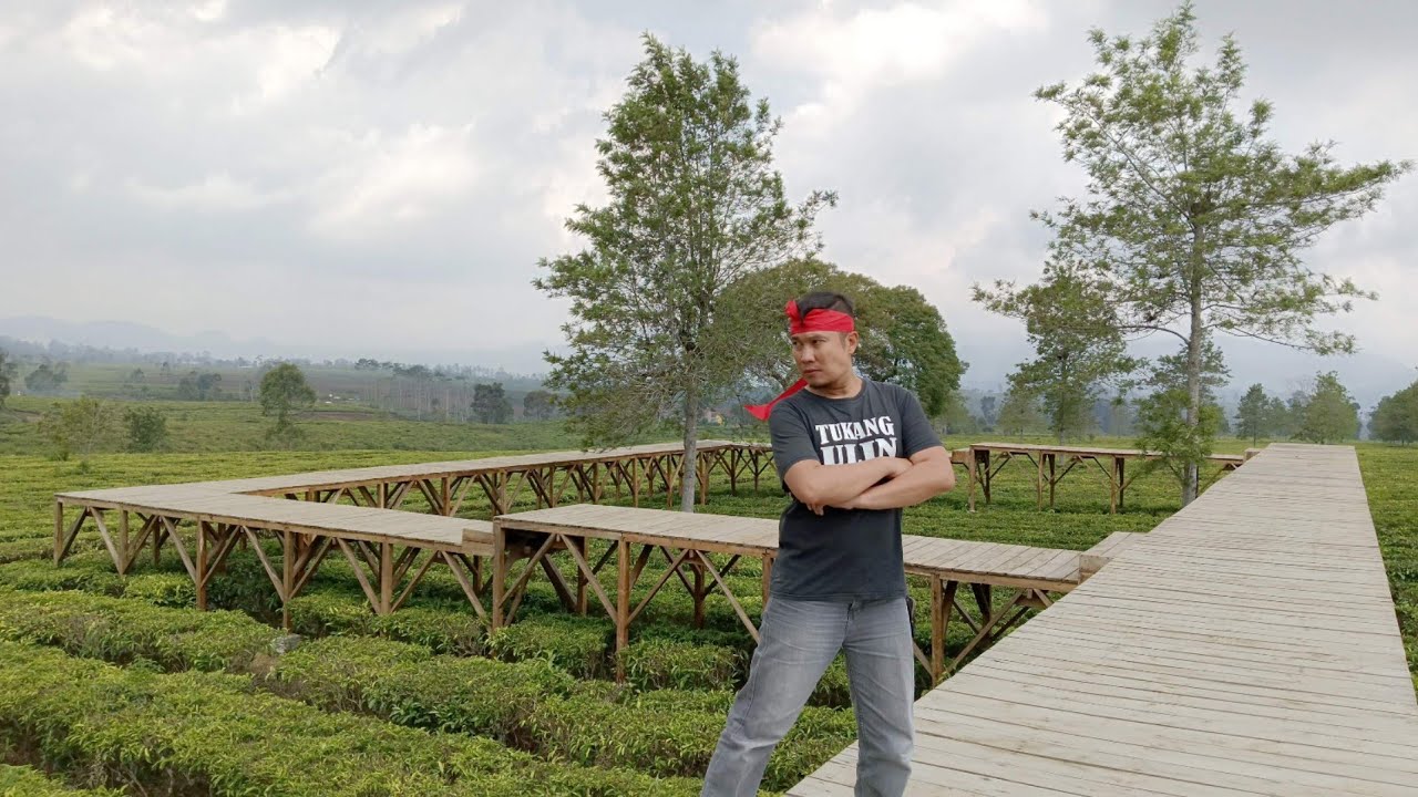 Wisata Kebun Teh Jangkung Malabar , Banjarsari Kec. Pangalengan Kab. Bandung