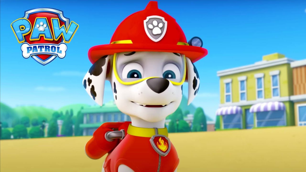 Štěňata na pláži! - Tlapková patrola PAW Patrol - pohádky pro děti