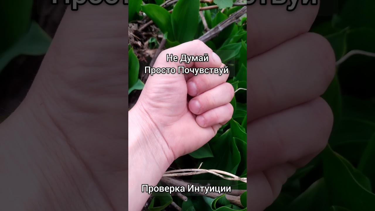 Popular trend #top #test #recommended #intuition #popular #рек #рекомендации #хочуврек #интуиция