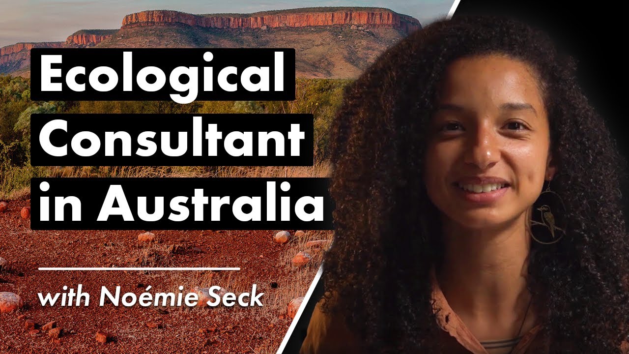 Life as an Ecological Consultant in Australia 🌿