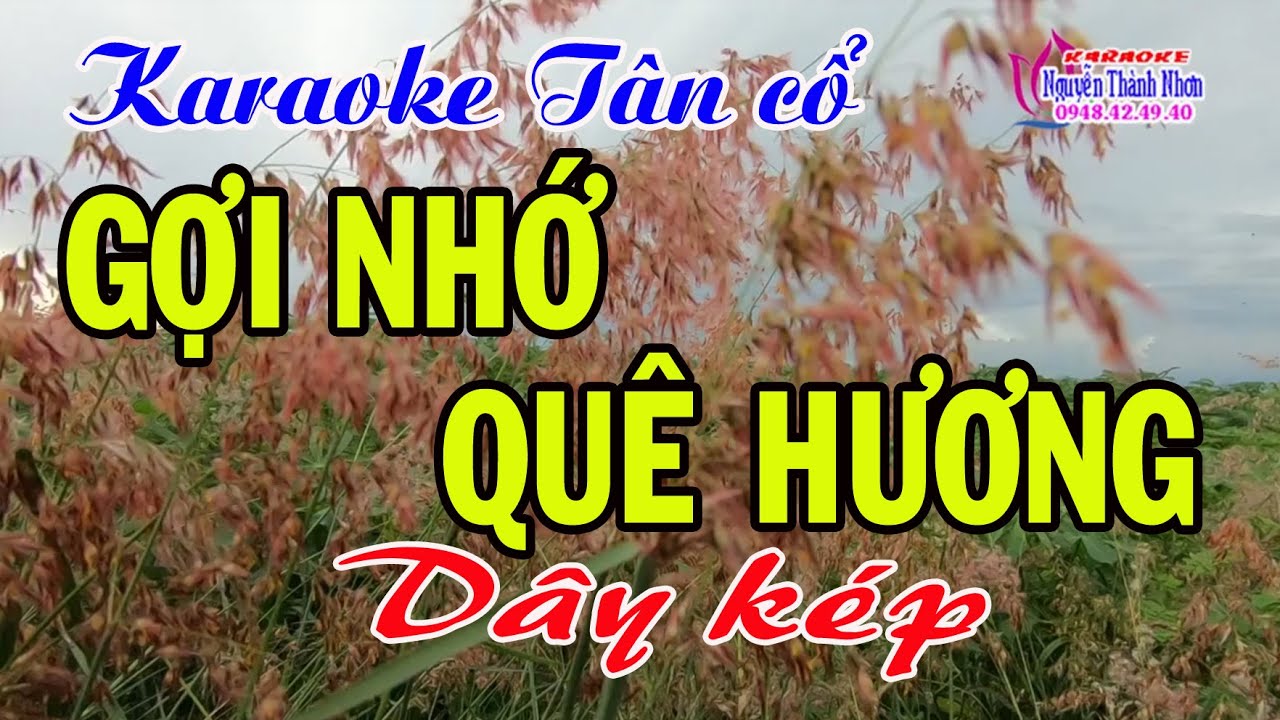 Karaoke tân cổ GỢI NHỚ QUÊ HƯƠNG - DÂY KÉP