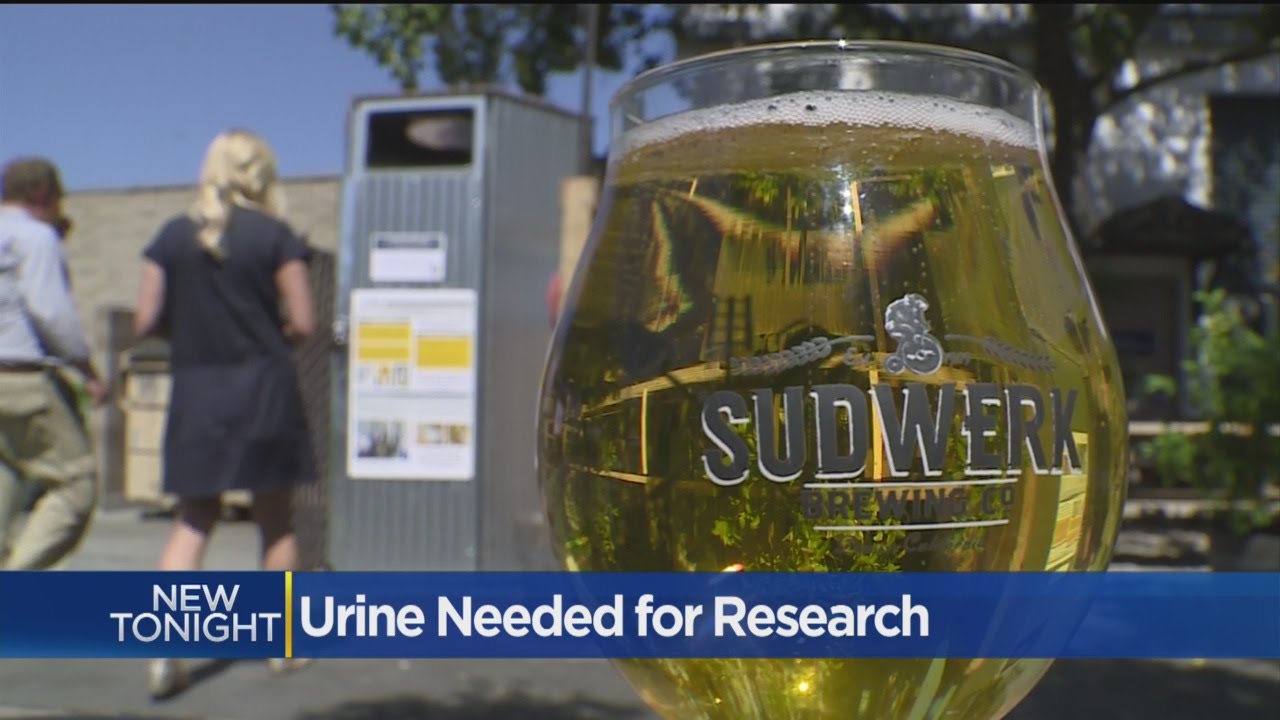 Brewing Company Teaming Up With UC Davis To Collect Urine For Science