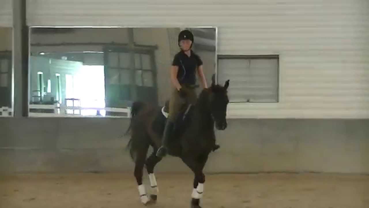 Clinic: June, 2015