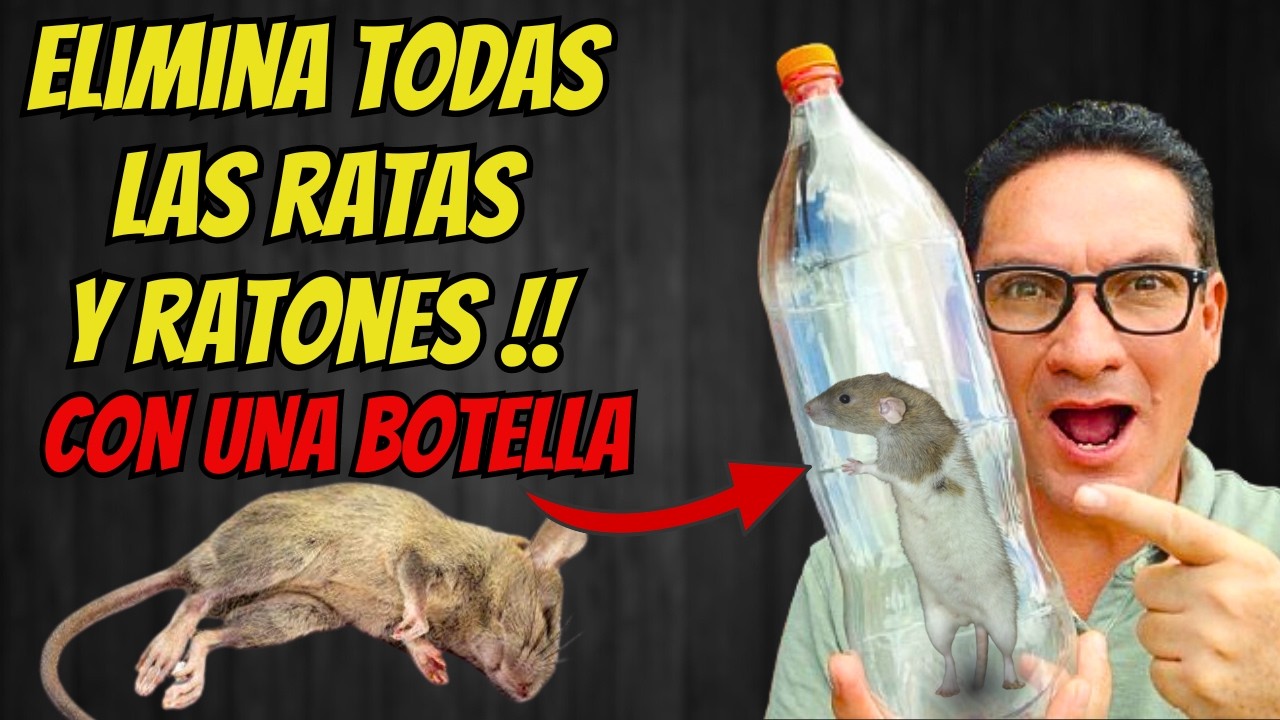 COMO ELIMINAR TODOS LOS RATONES y RATAS dentro del hogar con UNA BOTELLA | Gio de la Rosa