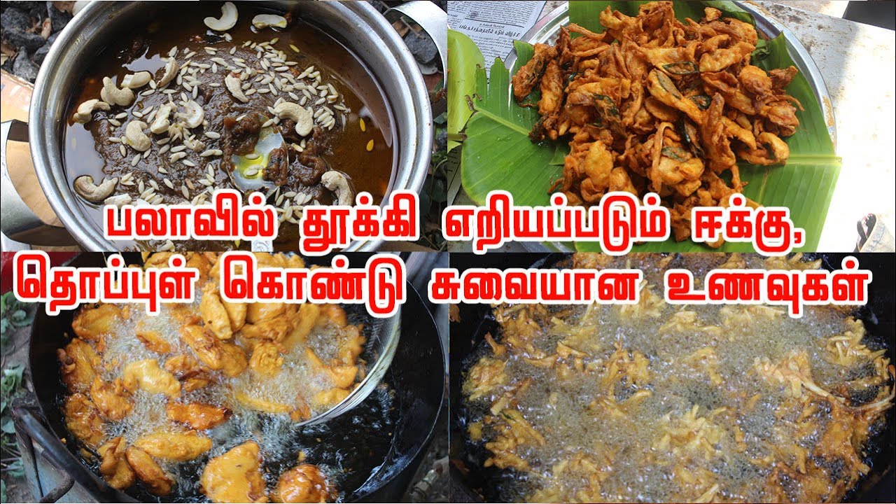 பலாவில் தூக்கி எறியப்படும் பொருட்களை கொண்டு உருவாக்கப்பட்ட சுவையான உணவுகள் | Jackfruit Recipes
