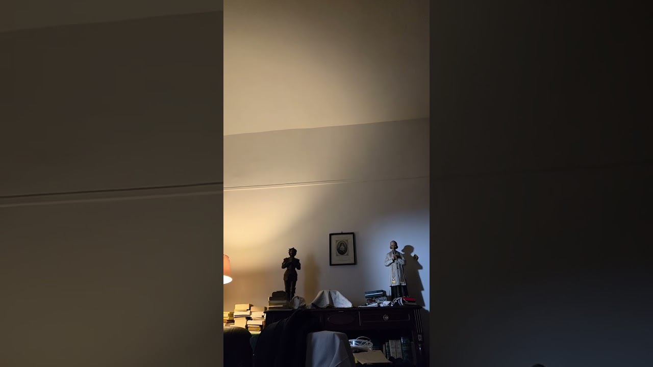 Que dit la Sainte Écriture sur le sédévacantisme ?