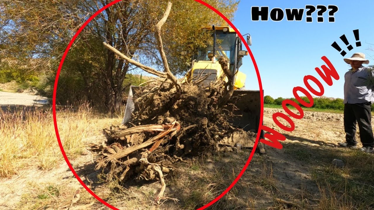 Newholland HL95B Backhoe I☢Uproot The Old Tree With Backhoeloader☢|New Video Backhoe