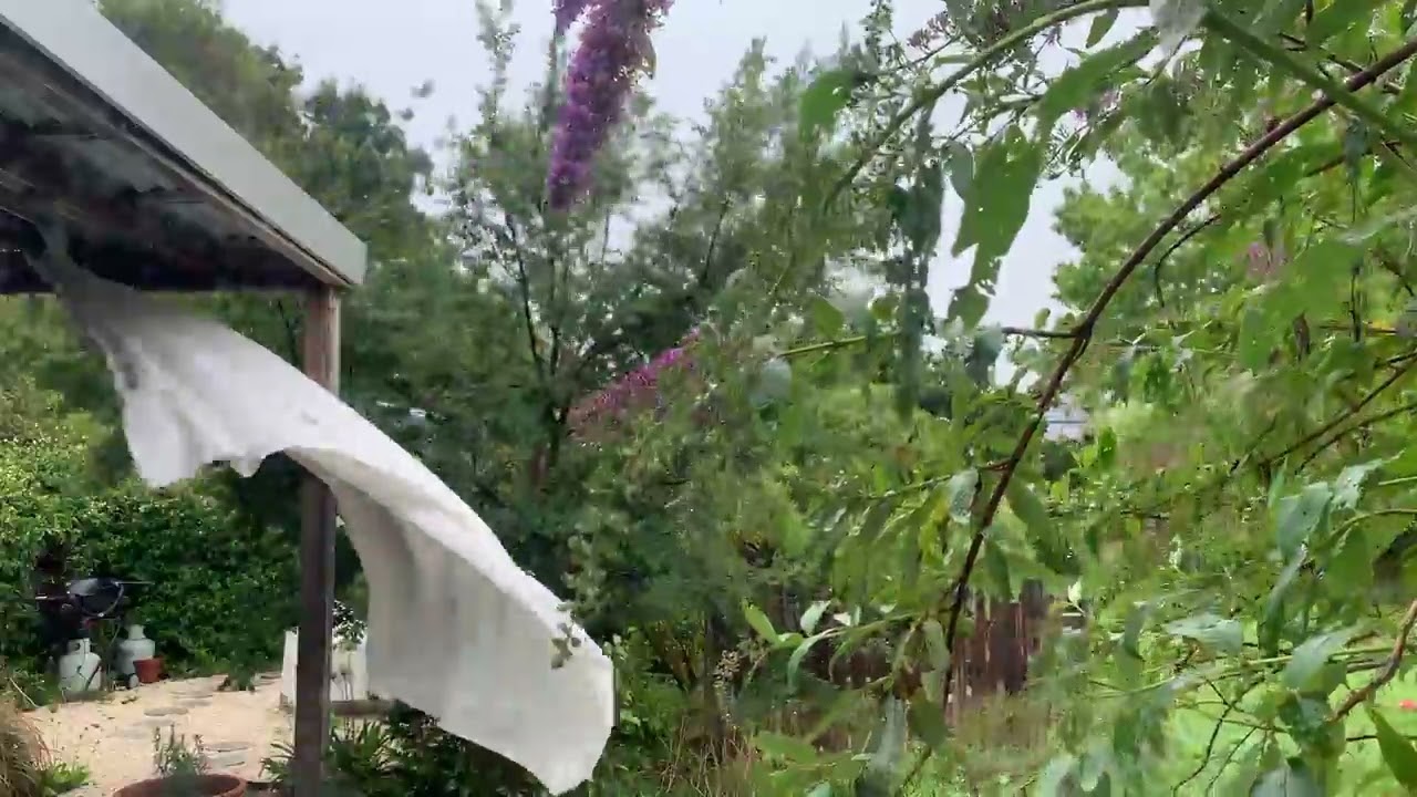 Light rain sounds | cottage core | 30 minutes relaxing