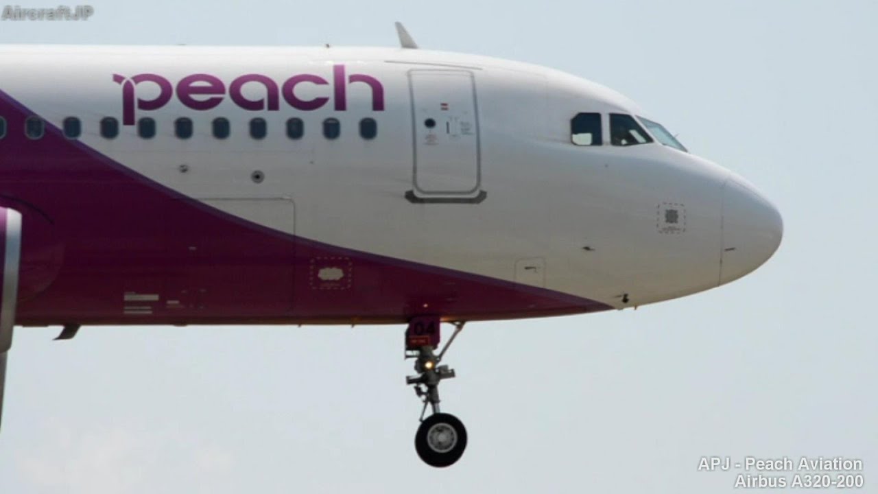 ピーチ・アビエーション A320-200着陸 - Peach Aviation A320-200 Landing(JA804P)