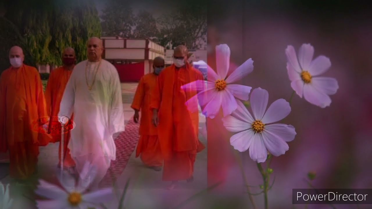 आपन स्वामीजी के आरती उतारूँ (Aapan Swamiji Ke Aarti Utaarun)