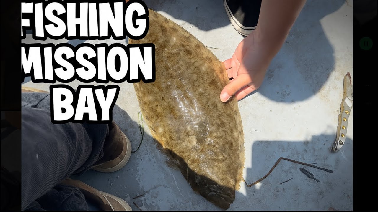 Skiff Boat Fishing in Mission Bay 🚤 | Good Times & Great Catches!! 
