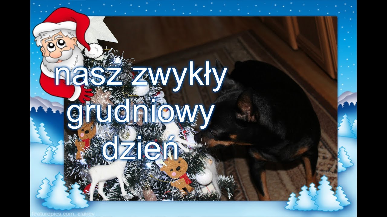 Vlogmas dzień 13 Cały dzień z nami (13.12.2018)