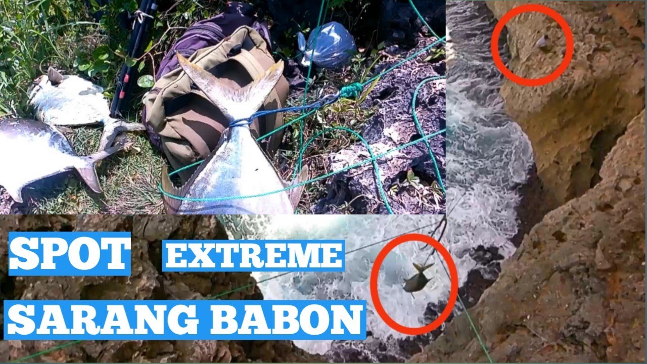 Tempat Extreme mancing ikan besar