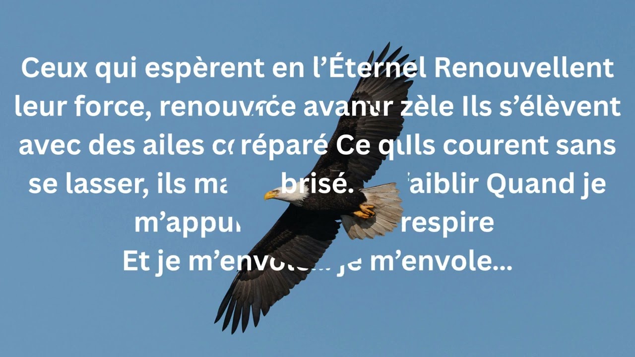 Des Ailes Comme L’Aigle  (Ésaïe 40:31)