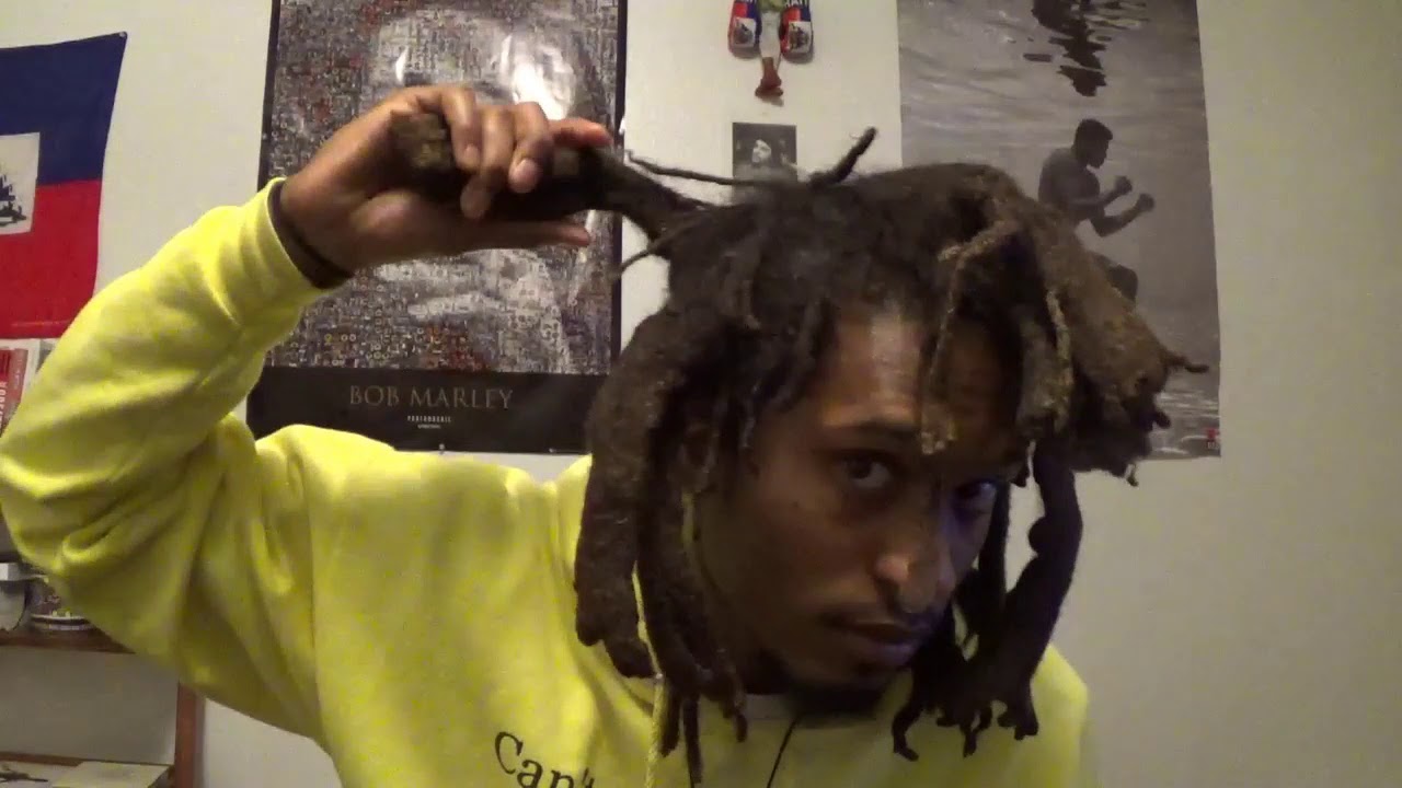 Freeform Locs |  Natty Dread (2years 10months)