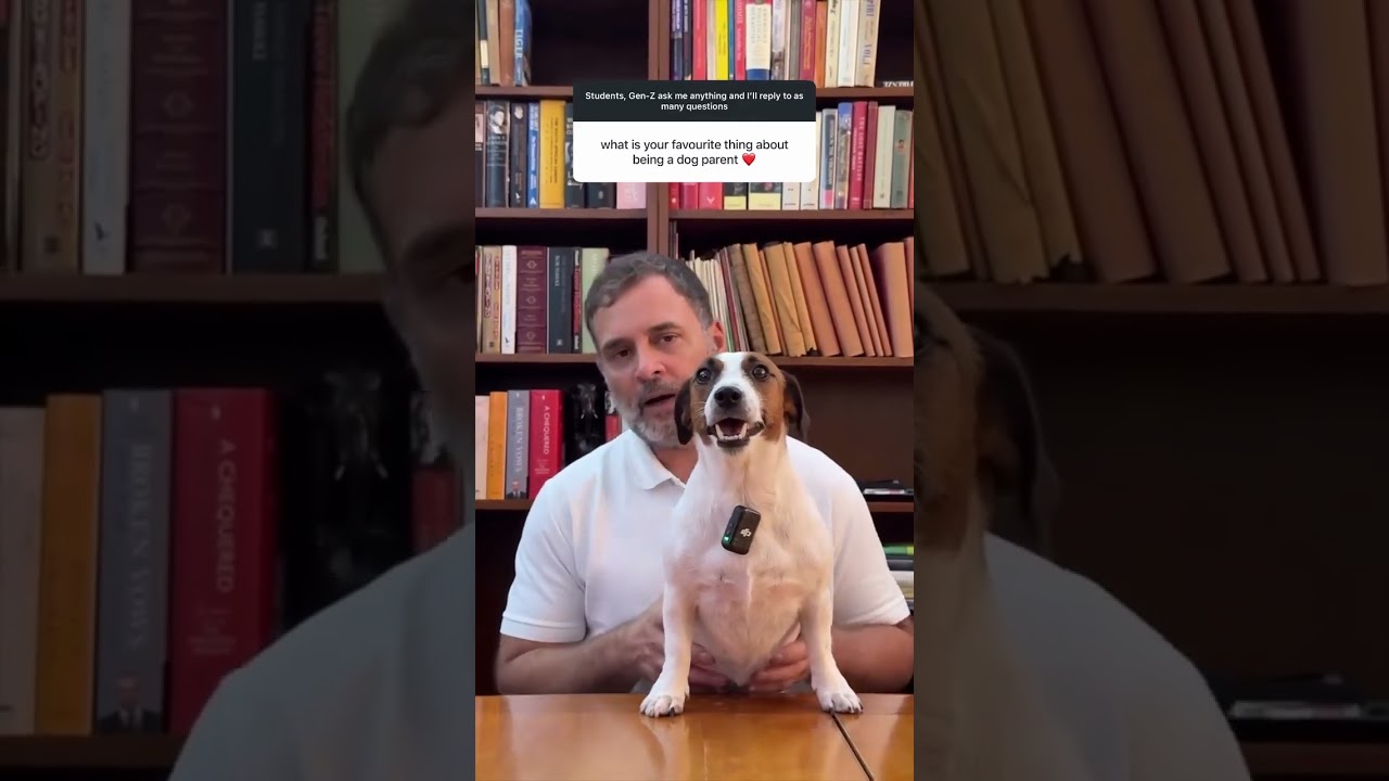 𝐄𝐯𝐞𝐫𝐲 𝐚𝐧𝐢𝐦𝐚𝐥 𝐝𝐞𝐬𝐞𝐫𝐯𝐞𝐬 𝐚𝐟𝐟𝐞𝐜𝐭𝐢𝐨𝐧, 𝐥𝐨𝐯𝐞, 𝐚𝐧𝐝 𝐫𝐞𝐬𝐩𝐞𝐜𝐭. 𝐍𝐨𝐨𝐫𝐢𝐞 ❤️