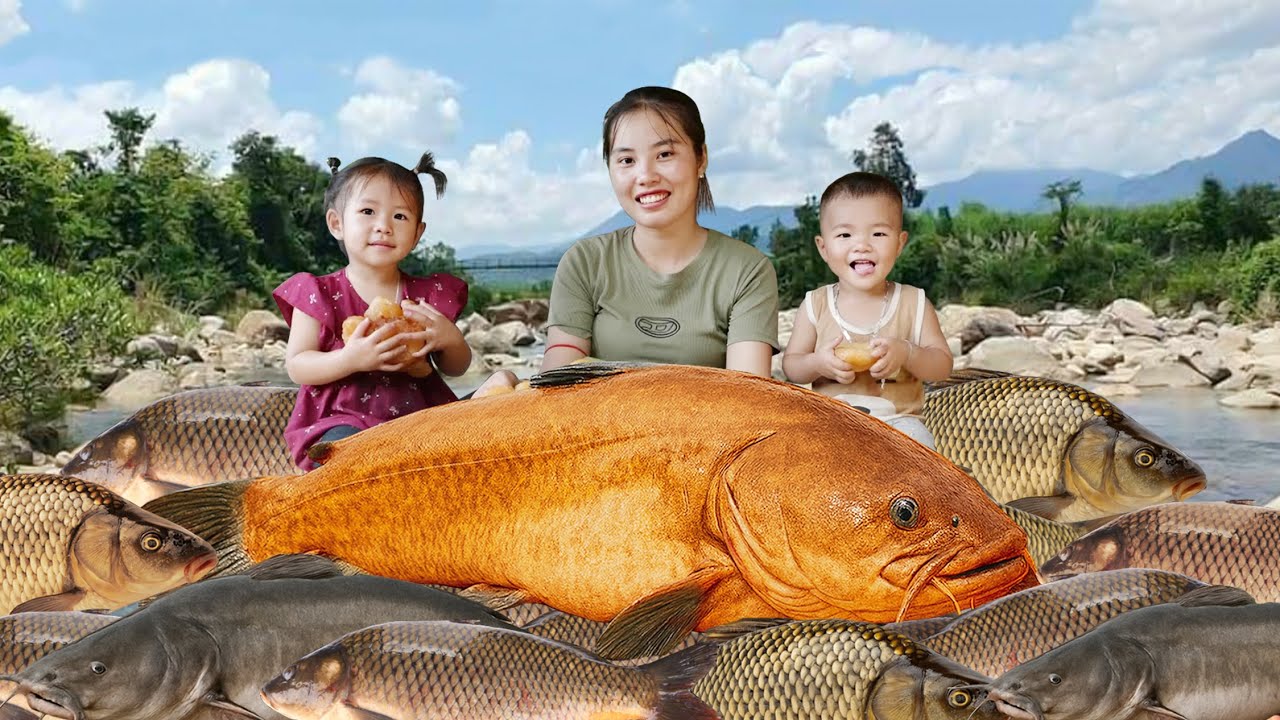 Giant Fish Harvest with My Kids – Results Beyond Imagination | Fishing & Harvesting | Village Life