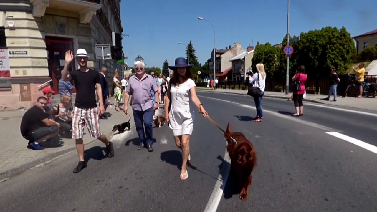Parada ps&oacute;w 2019 r