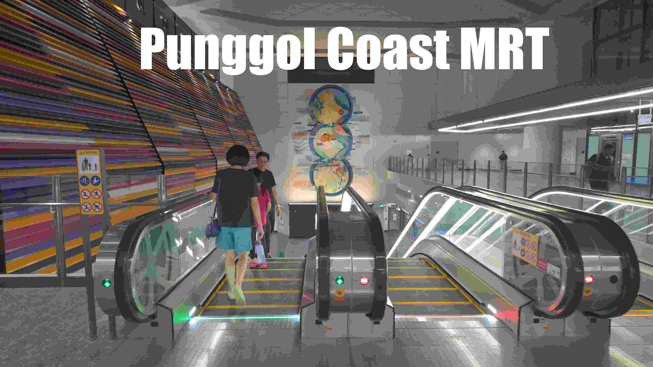 Punggol Coast MRT Station Walking Tour 10 December 2024
